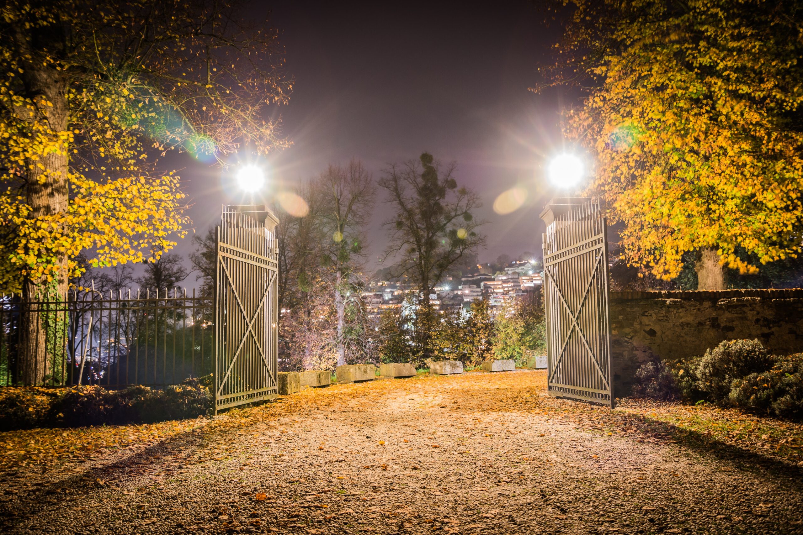 automatic swing gate